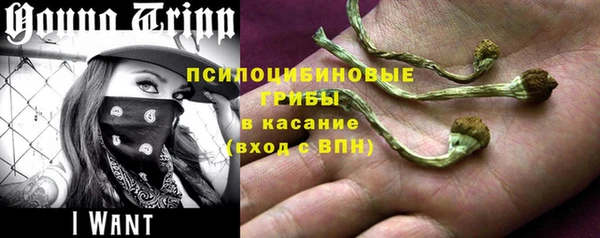 героин Дмитриев