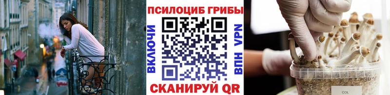 гидра зеркало  Зеленодольск  Псилоцибиновые грибы GOLDEN TEACHER 