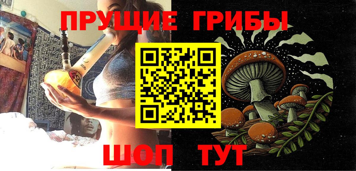 Псилоцибиновые грибы Cubensis Зеленодольск